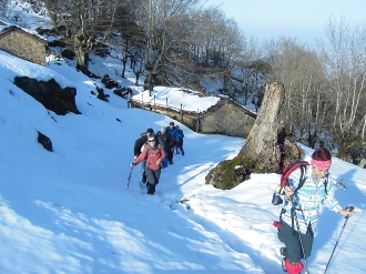 PIKUTA_11