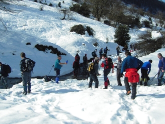 2007_02_04_Pikuta