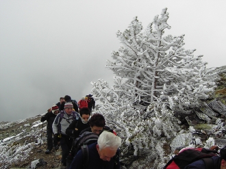 MONCAYO_25