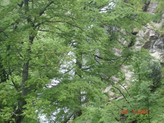 BELAGUA_37