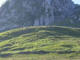 ORIO_61