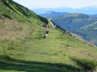 ORIO_63
