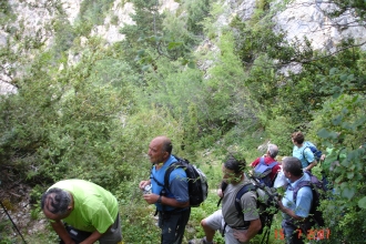 PIRINEOS_25