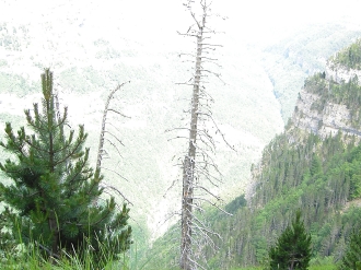 PIRINEOS_65