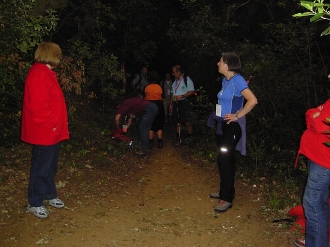 MOLLET DEL VALLES_159