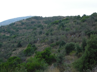 MOLLET DEL VALLES_166