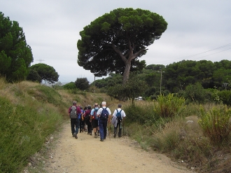 MOLLET DEL VALLES_169