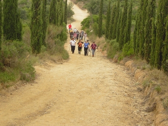 MOLLET DEL VALLES_181