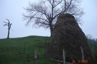 ORENDAIN_4