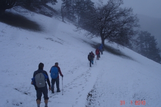 2010-01-31 Zumarraga 