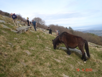 2010-04-18 Larrun