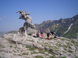 PIRINEOS_99