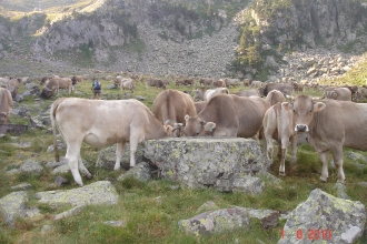 PIRINEOS 2_11