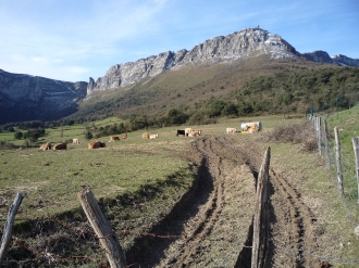 ORDUÑA_63