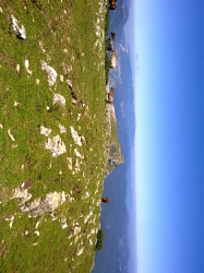 SAN DONATO_16