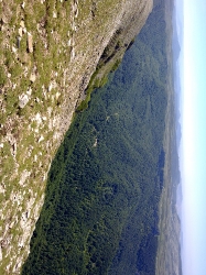 SAN DONATO_19