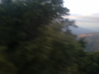 CAPILEIRA_5