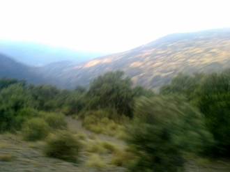 CAPILEIRA_6