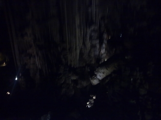 NERIA_11