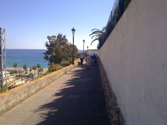 NERIA_26