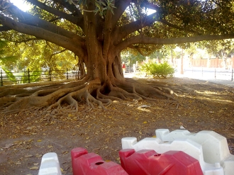 SEVILLA_31