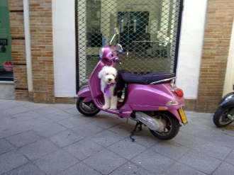 SEVILLA_38