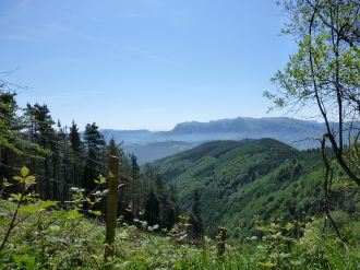MURUMENDI_12