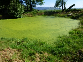 MURUMENDI_3