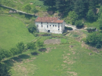 PIKUTA_11