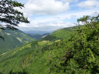 PIKUTA_1