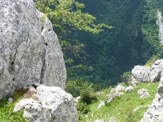 PIKUTA_5