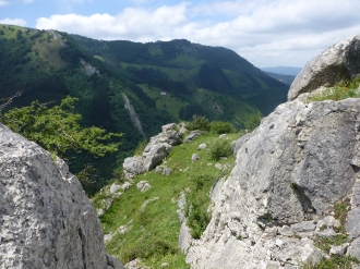 PIKUTA_7