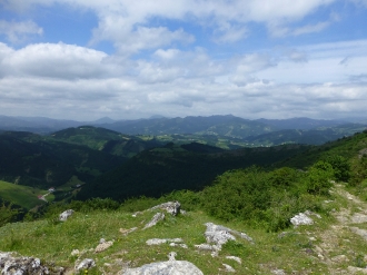 PIKUTA_8