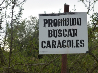 VETERANOS_204