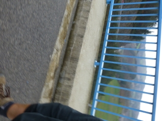 ORENDAIN IBIUR_12