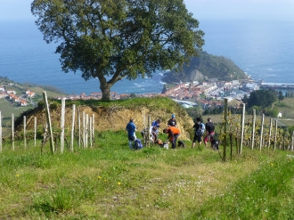 ZUMAIA_24