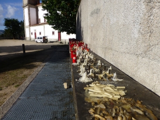 VETERANOS GALICIA_28