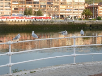 BILBO PORTUGALETE_52