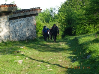 ARRIURDIN_2