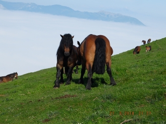 2018_05_27_Arantzazu-Arriurdin