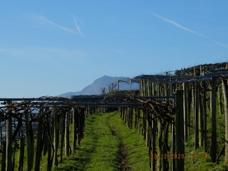 2020-02-23 ZARAUTZ-ZUMAIA-ELORRIAGA