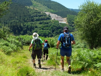 2020-07-05 ARLABAN-ELGEA