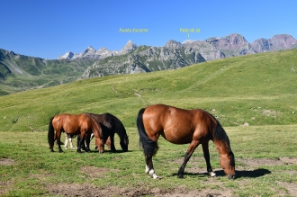 2020-07-18/19 FORMIGAL