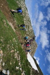 ORHI_100