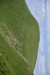 ORHI_108