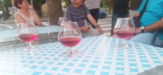 PUIGCERDA_155