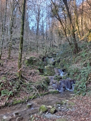 URKIA_27