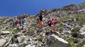 FORMIGAL_12