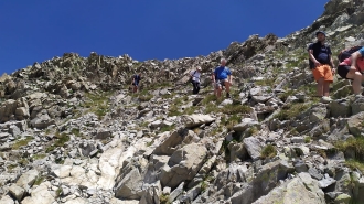 FORMIGAL_13