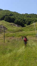 FORMIGAL_25